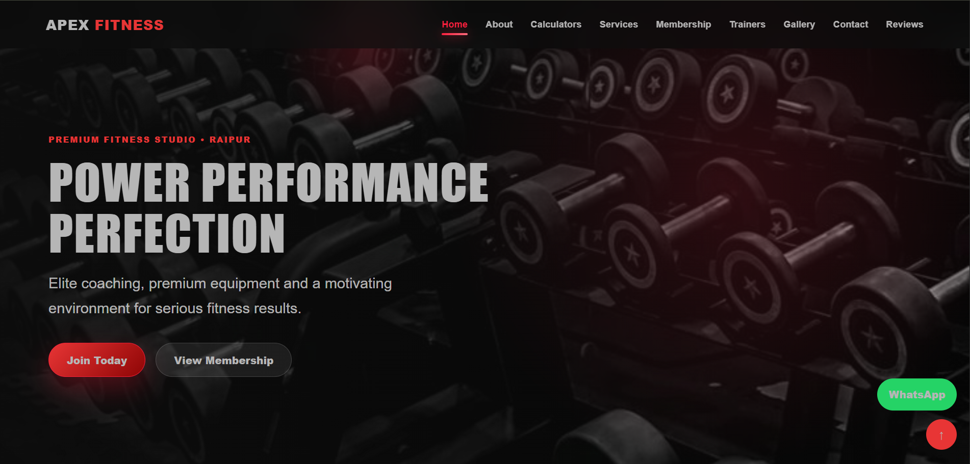 APEX FITNESS